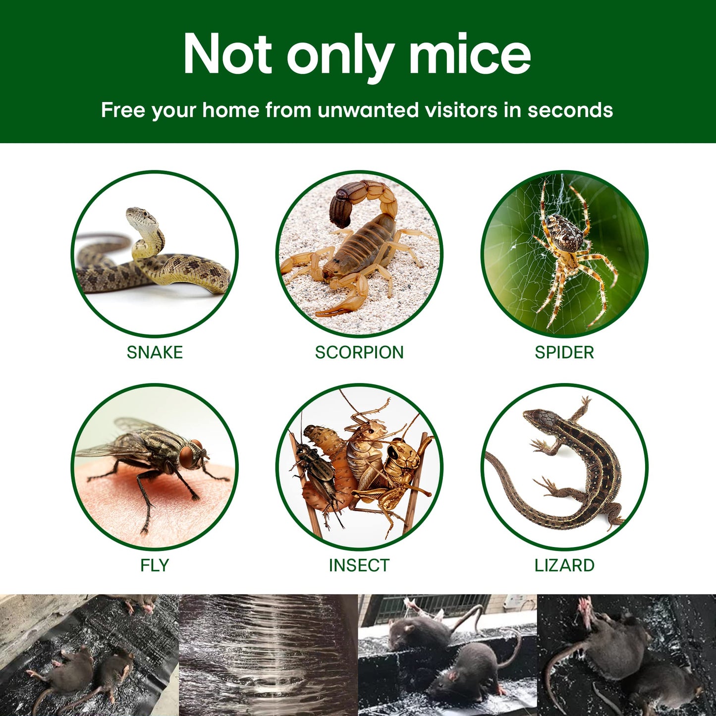 Power Sticky Mouse Trap (BUY 1 GET 1 FREE)