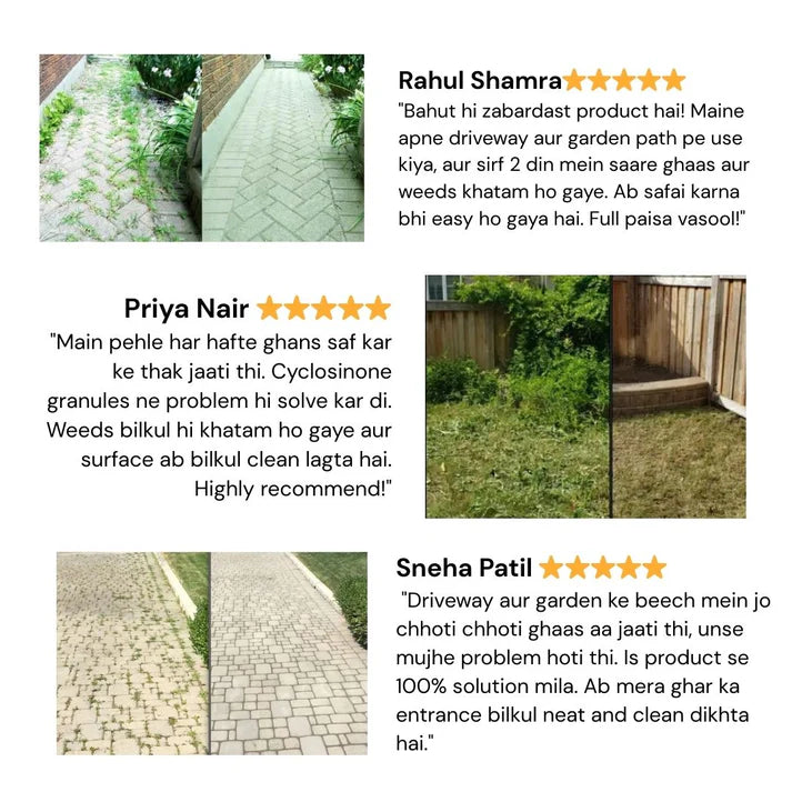 Cyclosinone Herbicide Granules (🔥BUY 1 Pack GET 2 Pack FREE)