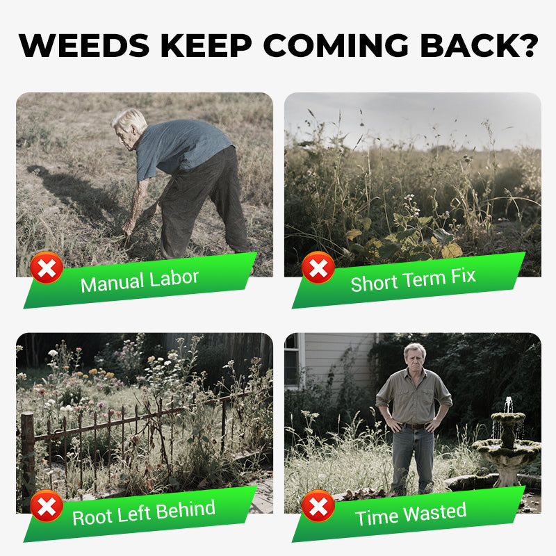 Cyclosinone Herbicide Granules (🔥BUY 1 Pack GET 2 Pack FREE)