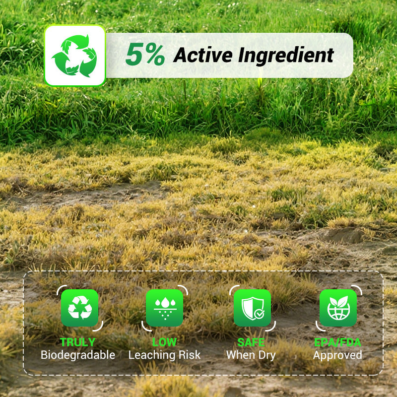 Cyclosinone Herbicide Granules (🔥BUY 1 Pack GET 2 Pack FREE)