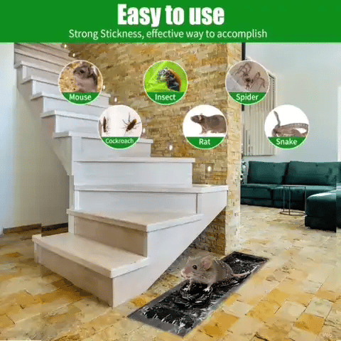 Power Sticky Mouse Trap (BUY 1 GET 1 FREE)