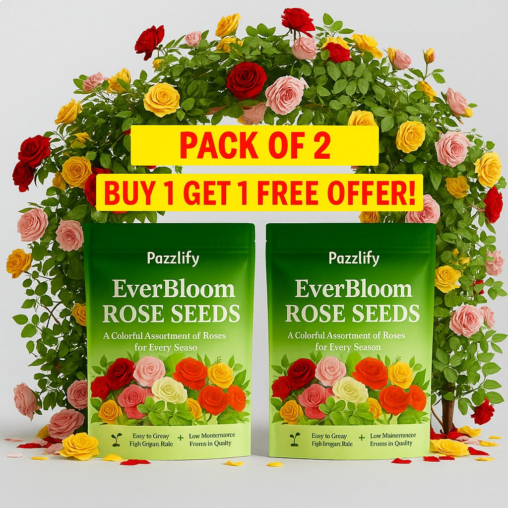 EverBloom Climbing Rose Seeds (BUY 1 GET 1 FREE)